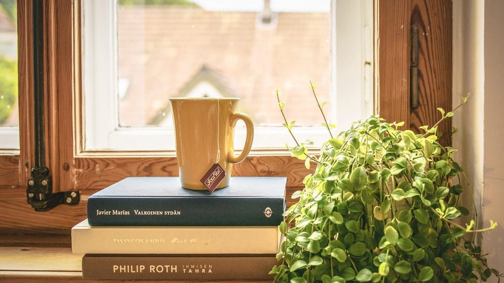 A houseplant thriving on a sunny windowsill, where adding a grow light would add nothing