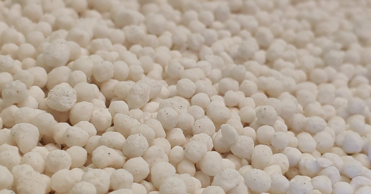 Does Phosphorus Make Plants Bloom? What Research Says