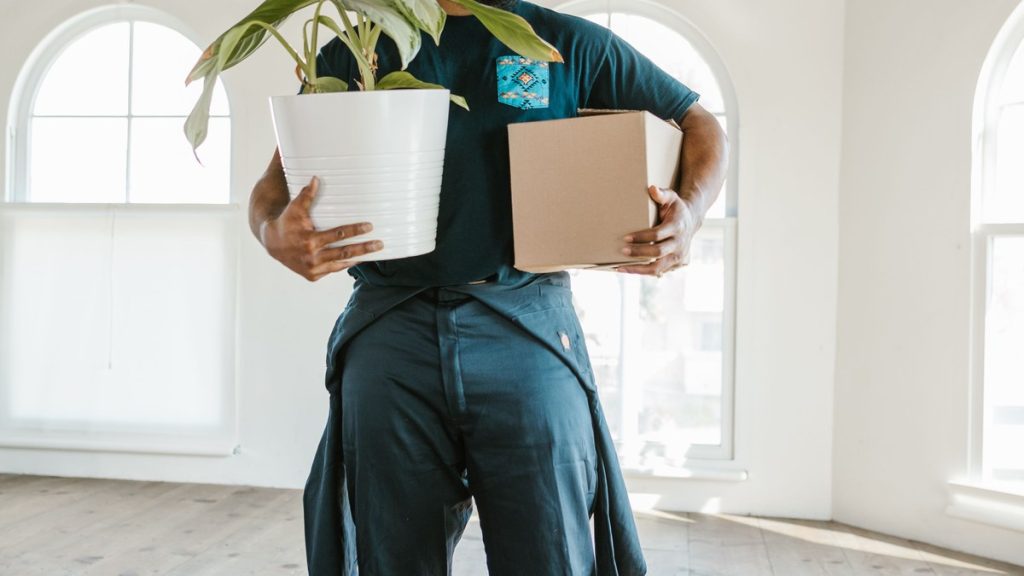 A person carrying a newly bought plant into their home, the moment its shop conditions end