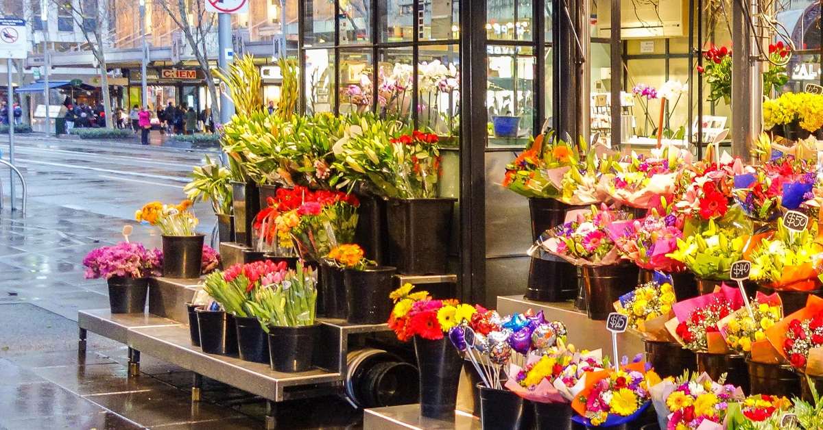 Rows of flowering plants on a bright outdoor shop bench, the kind of light and combined scent a home rarely matches