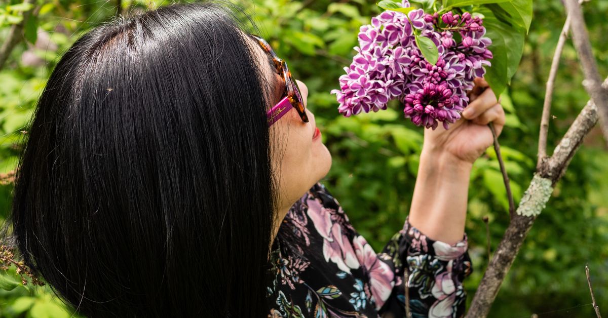 A person smelling a cluster of flowers at close range, the simple test for whether scent changed or the nose adapted
