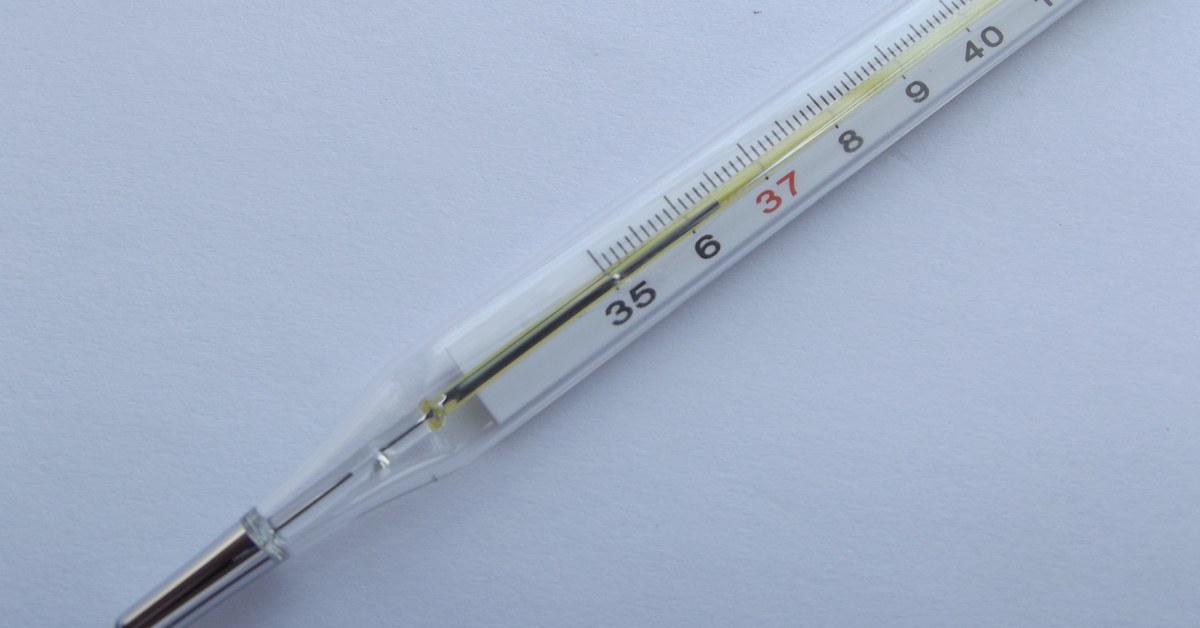 A thermometer scale, representing how room temperature shifts a flower's scent output up or down