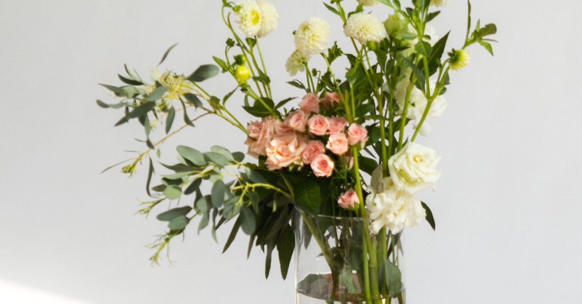 Make Blooms Last Longer: What Helps and What Doesn’t